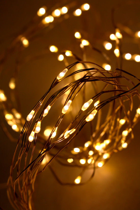 Copper Seed Lights 2m | Warm White