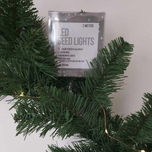 Copper Seed Lights 2m | Warm White