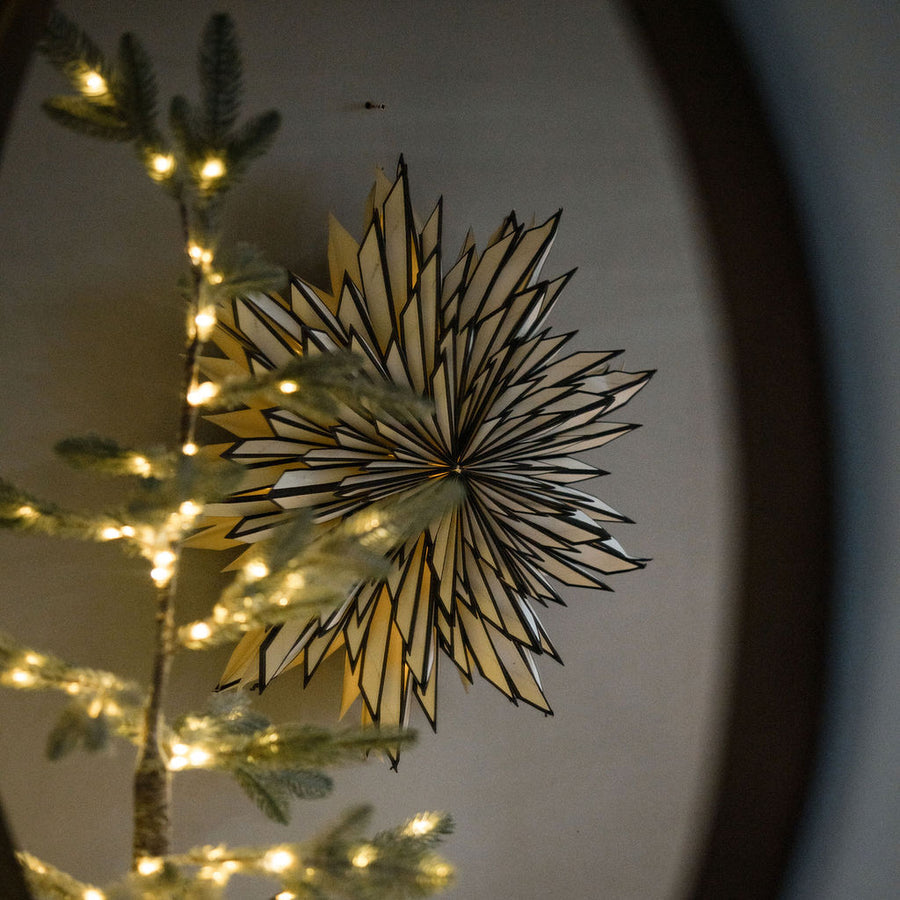 Gazania Paper Star Decoration