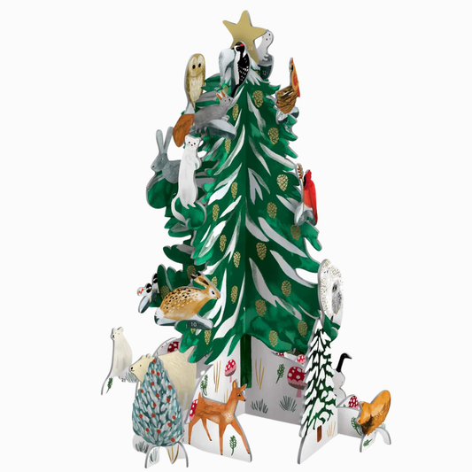 Advent Calendar | Pop & Slot | Christmas Conifer