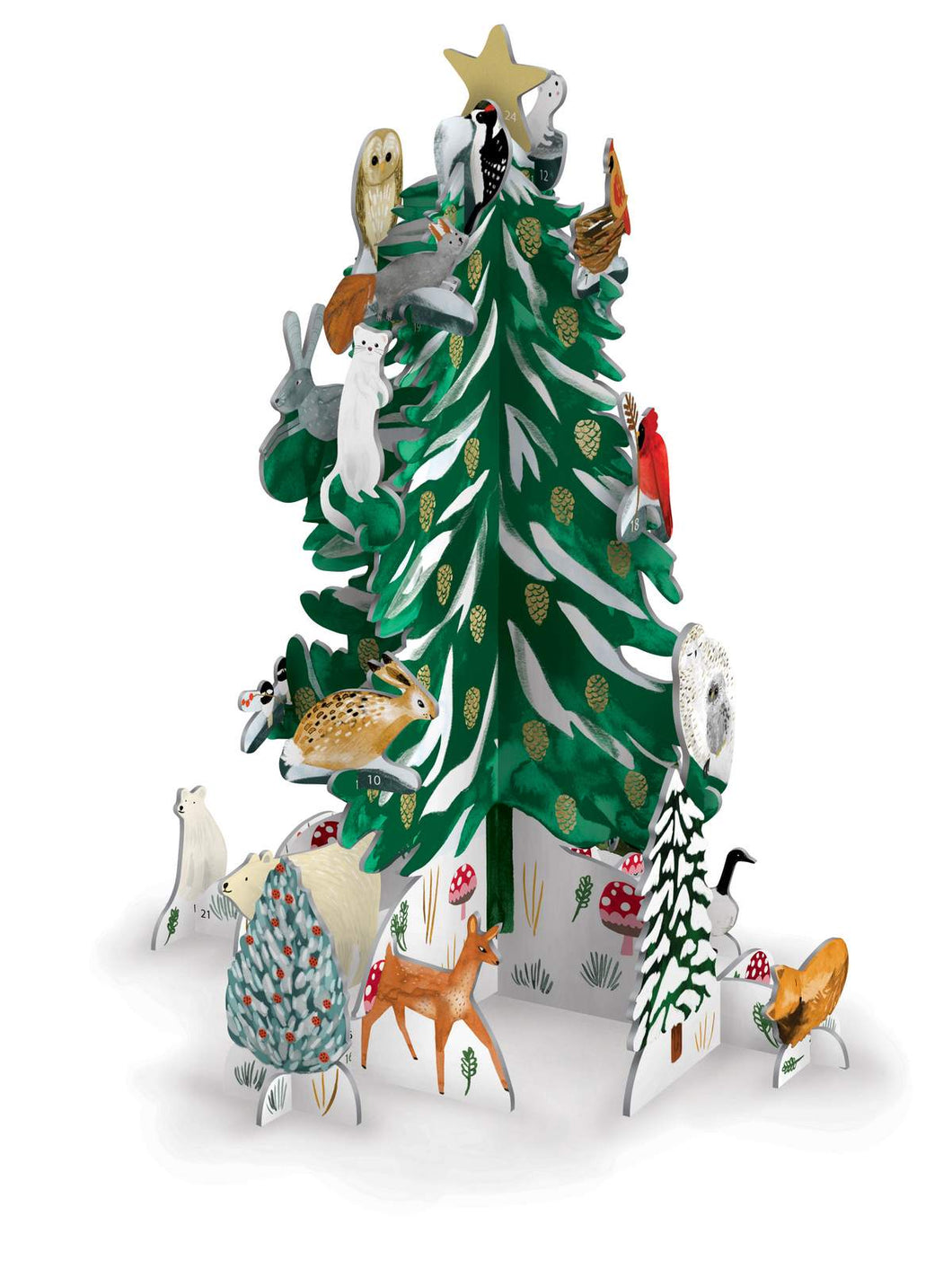 Advent Calendar | Pop & Slot | Christmas Conifer